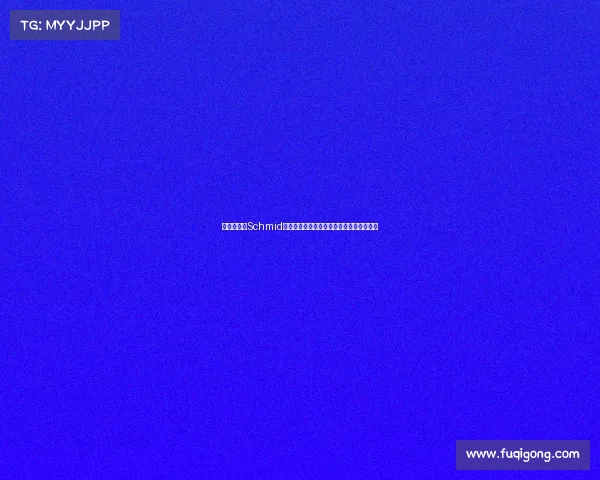 美联储官员Schmid反对降息强调持续高通胀风险引发政策担忧